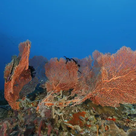 Privatif 66 Nord De Perpignan