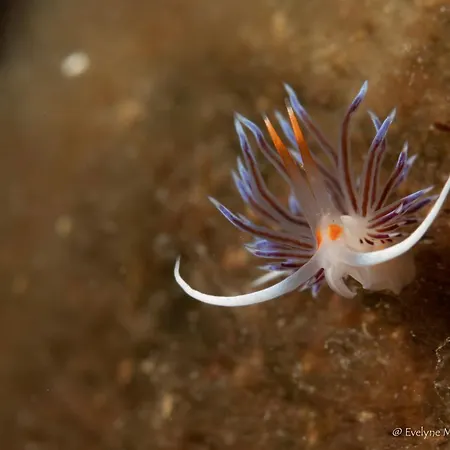 Privatif 66 Nord De Perpignan Gasthof