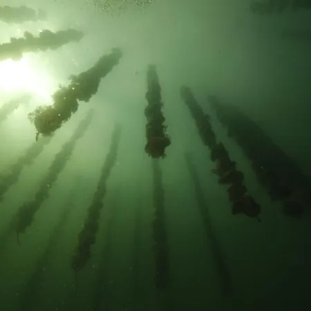 Privatif 66 Nord De Perpignan